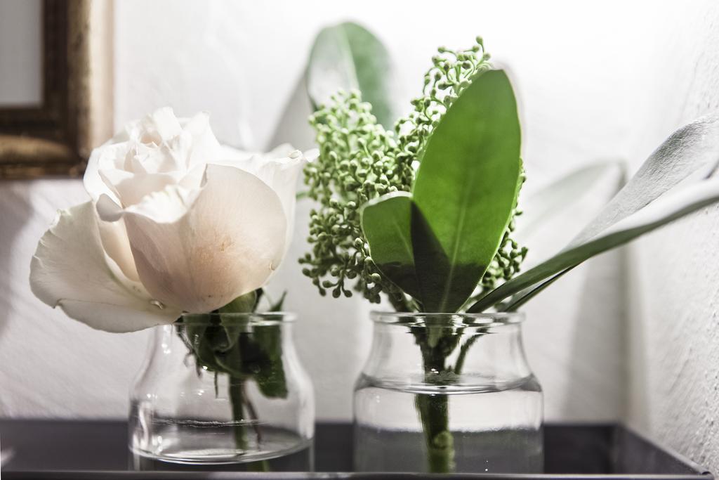 ホテル セルヴェッタ 5 モデナ 部屋 写真